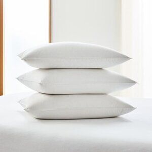 West Elm Down Pillow Inserts (2)